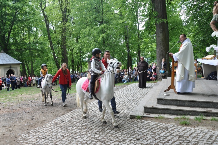 Pielgrzymka miłośników koni na Górę Świętej Anny