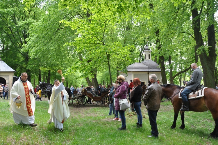 Na Górze Świętej Anny spotkali się miłośnicy koni i konnych zaprzęgów