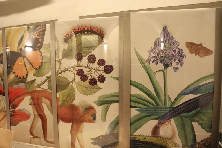 Wystawa "Rośliny i zwierzęta" w galerii Miedzynarodowego Centrum Kultury