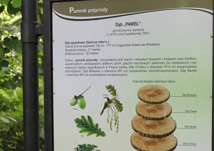 Park Pawłowicki we Wrocławiu - pomysł na niedzielny spacer