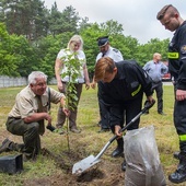 Kolejne owoce pamięci zostały posadzone na terenie województwa łódzkiego.