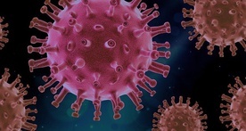 Wirus SARS-CoV-2 wykazuje niewielką zmienność