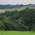 Grodzisko w Lubomi