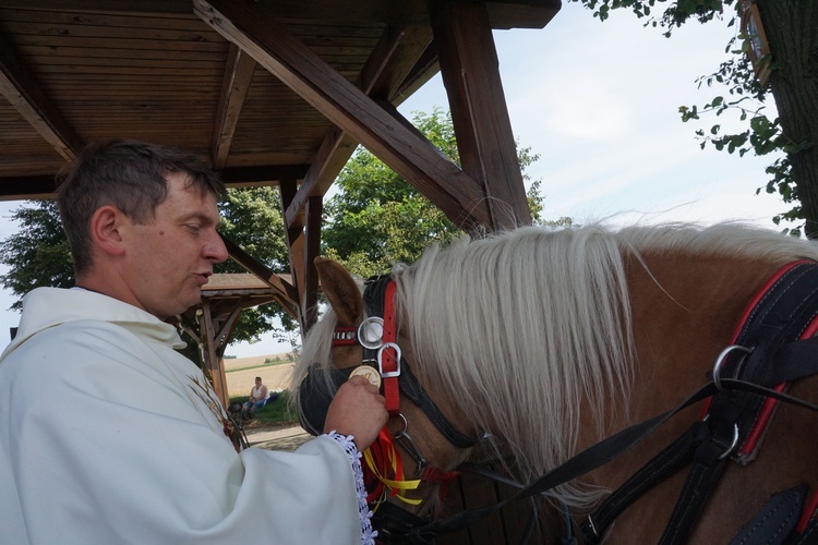 XI Konna Pielgrzymka z Toszka do Goja