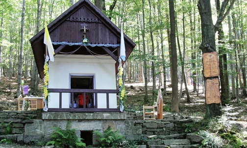 Kapliczka Matki Bożej Śnieżnej na Trzonce i wypływające spod niej źródełko.