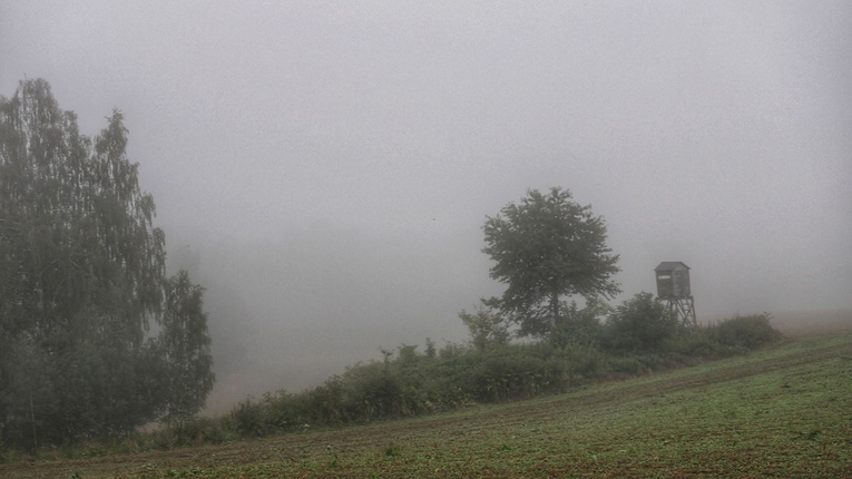 Nowa Ruda. Pieszo do Wambierzyc na 40-lecie koronacji