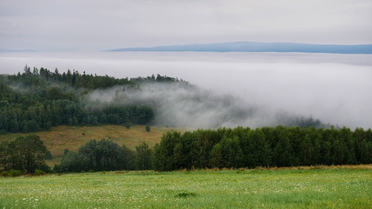 Nowa Ruda. Pieszo do Wambierzyc na 40-lecie koronacji