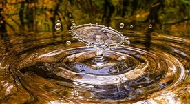 „Drapieżnicy” okradają nas z wody