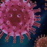 MZ: Dziś znów najwięcej nowych przypadków zakażeń koronawirusem od początku epidemii