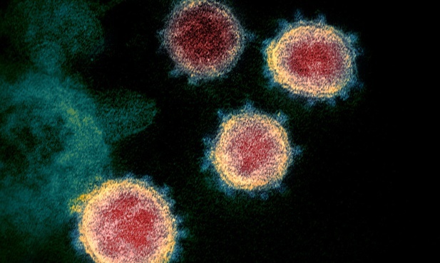 Niemiecki minister zdrowia: Jeśli nie pojawi się nowy wariant wirusa, to na wiosnę pokonamy pandemię
