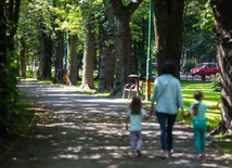 Bielsko-Biała. Park Włókniarzy zostanie zrewitalizowany