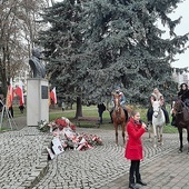 W parku można było m.in. posłuchać piosenek patriotycznych czy zobaczyć grupy rekonstrukcyjne na koniach.