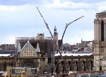 Katedra Notre-Dame odżywa
