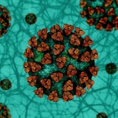 Czwartkowy raport MZ: 13 397 nowych zakażeń koronawirusem, najwięcej na Mazowszu