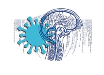 Badania: Koronawirus może uszkadzać mózg, nie wnikając do niego