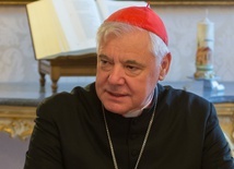 Watykan: Kard. Müller popiera wniosek kard. Pella o napomnienie biskupów niemieckich 