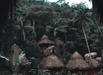 Dramat Amazonii - źródła nowej, groźniejszej odmiany koronawirusa