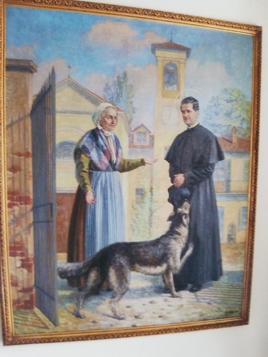 Szarik - tajemniczy pies, który chronił św. Jana Bosko