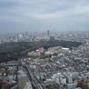 Stan wyjątkowy w Japonii będzie przedłużony do 7 marca