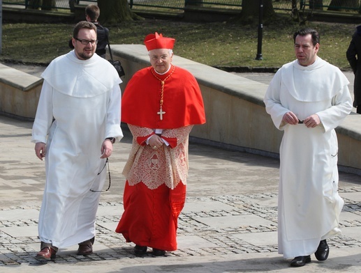 Penitencjarz Większy o pokucie