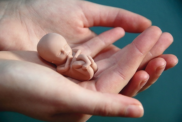 	Figurka dziecka na etapie rozwoju w łonie matki.
