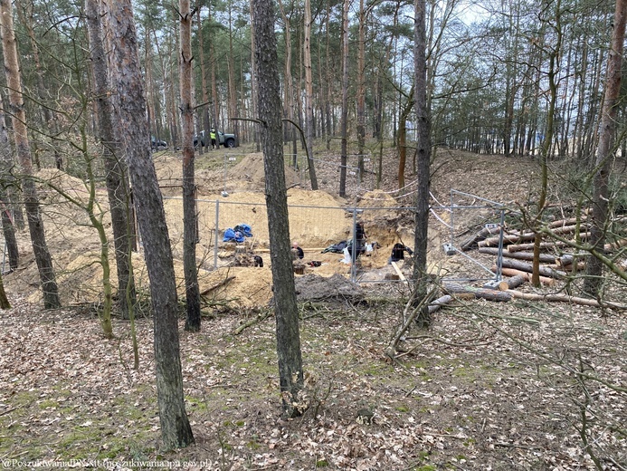 Szczątki dzieci i dorosłych w białołęckim lesie. Zbrodnia z początków II wojny światowej