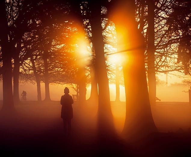 Wiosenny wschód słońca w Bushy Park nad Tamizą.
26.02.2021 Londyn, Wielka Brytania