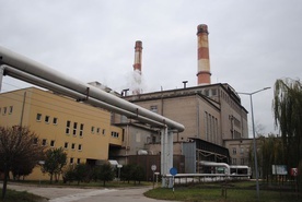 Stalowowolska elektrownia objęta zostanie zielonym planem.