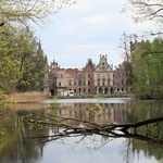 Pałac i park Schaffgotschów w Kopicach. Akcja sprzątania