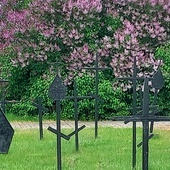 Zabytkowe groby żołnierskie z okresu I wojny światowej na cmentarzu przy ul. Granicznej w Opocznie.