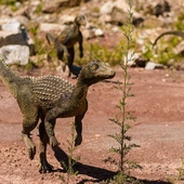 Wymieraniu dinozaurów towarzyszyło wymieranie ssaków