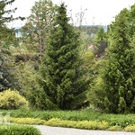 Majówka w Arboretum z biskupem