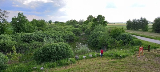 Wiślisko pod kopcem