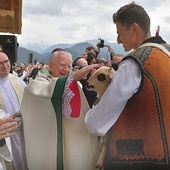 Metropolita krakowski w czasie procesji z darami pobłogosławił małą owieczkę.