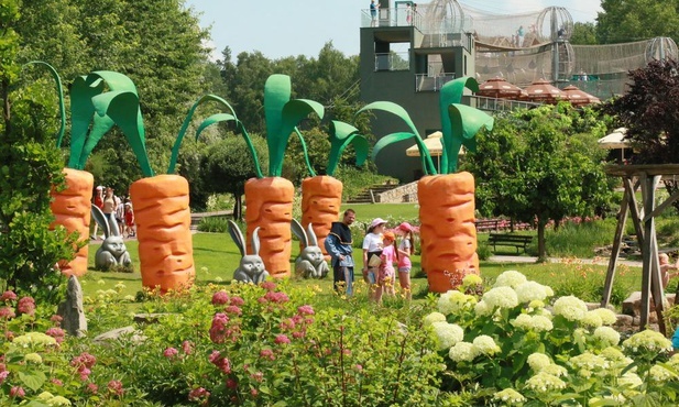 Gigantyczne marchewki z magicznego ogrodu.