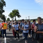 Pielgrzymi z Żychlina i Msza św. z wprowadzeniem relikwii papieża