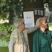 Zapisane na pocztówkach i wrzucone do „skrzynek skojarzeń” wspomnienia można było zobaczyć w parku sadłowskim.