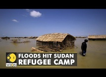 Heavy rains trigger floods in Sudan | Latest World English News | WION News | WION