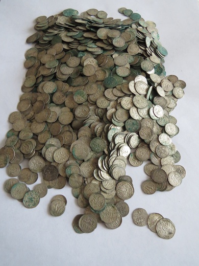 Zbiór monet z XII wieku odkryty w Zawichoście-Trójcy.