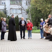 Legnica. Koronka na ulicach miast