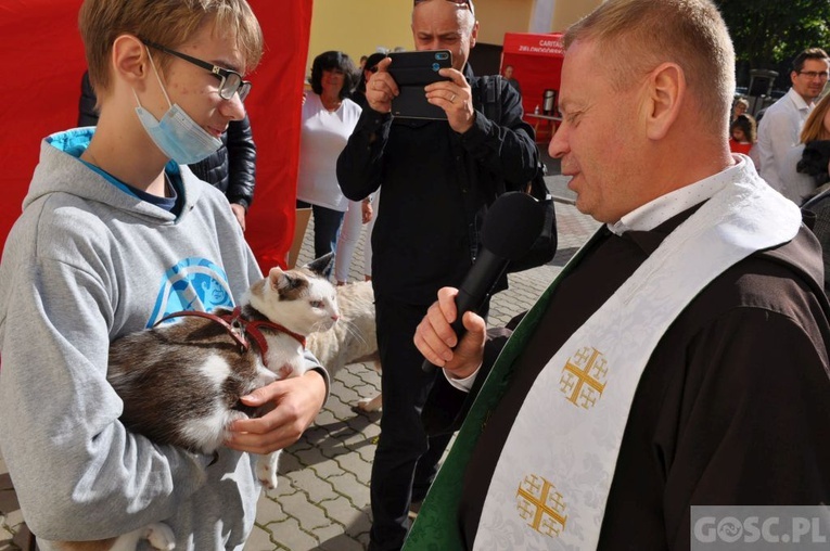Niedziela św. Franciszka w Głogowie