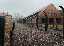 Muzeum Auschwitz: Antysemickie napisy na barakach Birkenau