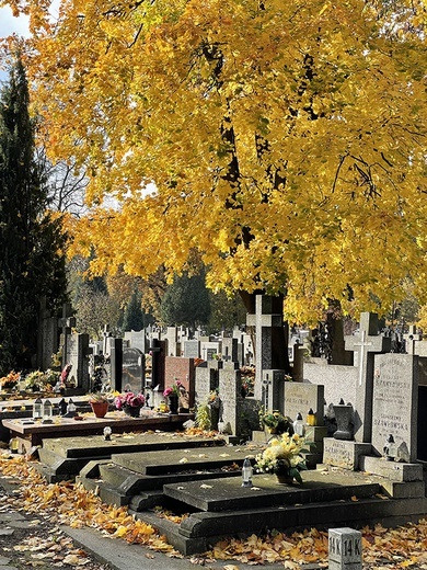 ▼	Dla wielu cmentarz to miejsce pamięci i wspomnień. Dla grabarzy – miejsce pracy, w którym służą bliźnim w ostatniej drodze, nawracają się, obcują z życiem i śmiercią.