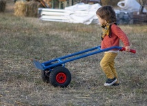 Papież w obronie dzieci zmuszanych do pracy w rolnictwie