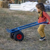 Papież w obronie dzieci zmuszanych do pracy w rolnictwie