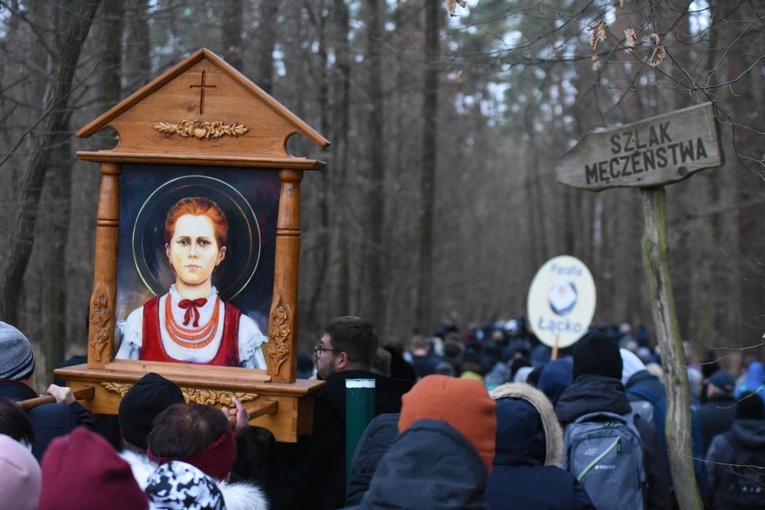 Wejście do rudziańskiego lasu.