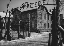 Muzeum Auschwitz udostępniło wirtualne lekcje o sprawcach zbrodni