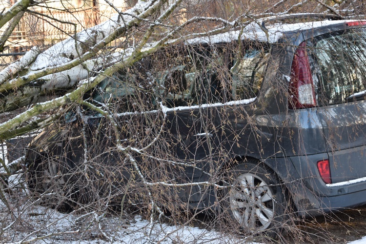 Nawałnica w Międzyborowie