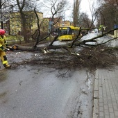 Śląskie. 1313 interwencji w związku z silnym wiatrem 