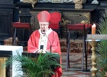 Abp Stanisław Budzik.